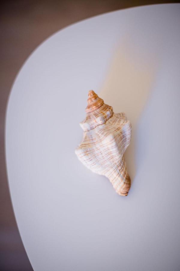 Hotel Conchiglia ポルト・エルコレ エクステリア 写真